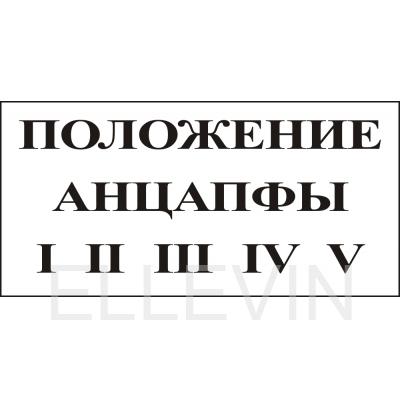 Табличка "Положение анцапфы" (пластик, 250х140 мм)